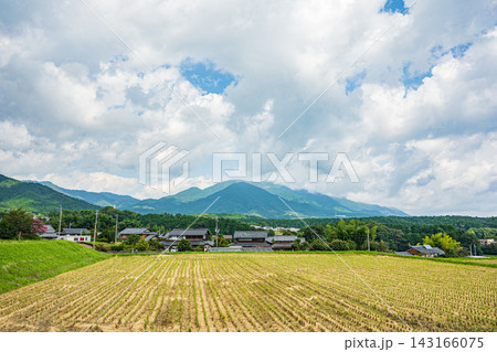 大津市伊香立の棚田　収穫を終えた田んぼ　滋賀県 143166075