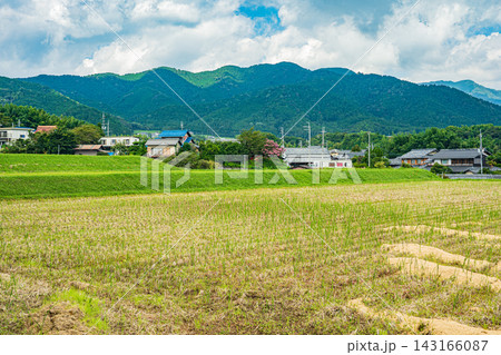 大津市伊香立の棚田 収穫を終えた田んぼ 滋賀県 大津市伊香立の棚田 収穫を終えた田んぼ 滋賀県 143166087