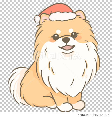 An illustration of a Pomeranian wearing a Christmas Santa hat. An illustration of a Pomeranian wearing a Christmas Santa hat. 143166207