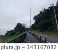 よみうりV通りの道路風景 緑に囲まれた坂道と歩道 143167082