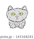 猫のイラスト 143168281