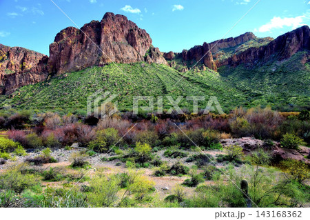Salt River Recreation Area Arizona 143168362