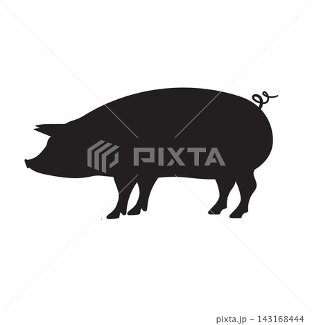 Vector flat pig silhouette isolated 143168444