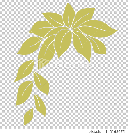 Golden curved leaf branch vine botanical foliage nature frame ornament element sticker print visual graphic clipart artwork design icon illustration 143168675