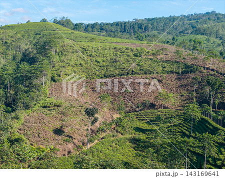 Beautiful scenic shot from the sky of bright afternoon sunshine Beautiful scenic shot from the sky of bright afternoon sunshine 143169641