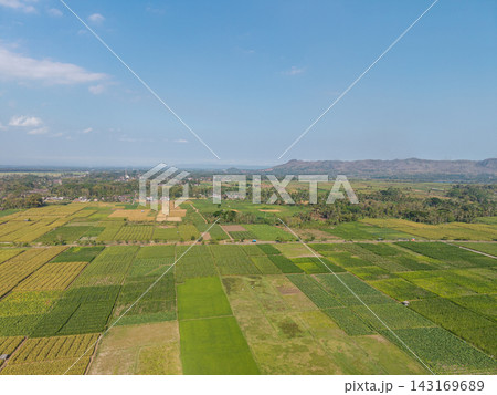 Aerial View of Lush Green Fields and Agricultural Land with Mountains 143169689