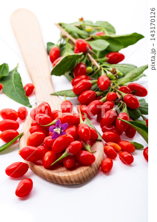 Goji berry branch with green leaves on white background 143170126