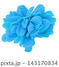 Light blue abstract 3D floral element isolated on white background. 143170834