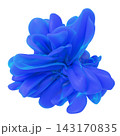 Royal blue abstract 3D flower element isolated on white background. 143170835