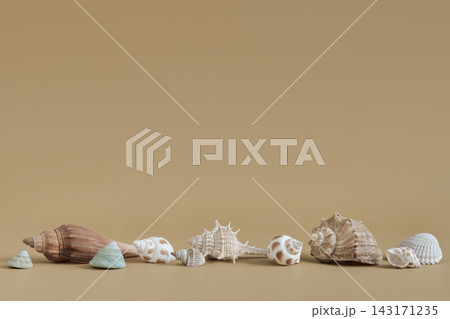 Grouping various natural seashells on neutral earth tone background 143171235