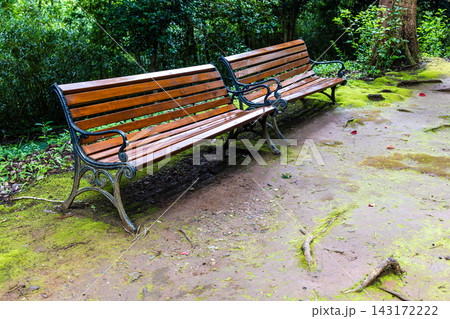 wet wooden benches in Batumi Botanical Garden 143172222