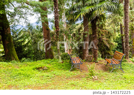 benches on meadow in Batumi Botanical Garden 143172225