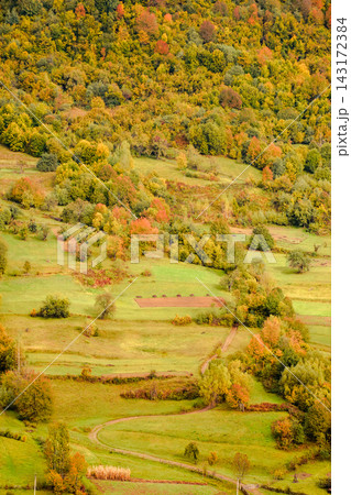 countryside mountain scene. autumnal nature texture of a deciduous forest on a steep hillside. rural area of Uzhanian park of Transcarpathia, Ukraine countryside mountain scene. autumnal nature texture of a deciduous forest on a steep hillside. rural area of Uzhanian park of Transcarpathia, Ukraine 143172384