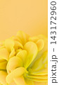Vibrant yellow abstract flower background featuring smooth curved 3D petals. 143172960