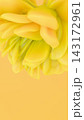 Stylized yellow abstract floral backdrop rendered in 3D with layered smooth petals. 143172961