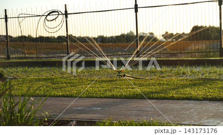Lawn sprinkler watering fresh green grass and garden at sunset during summer season, irrigation system working 143173176