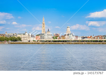 Antwerp city skyline and Cathedral in Antwerp city, Belgium 143173767