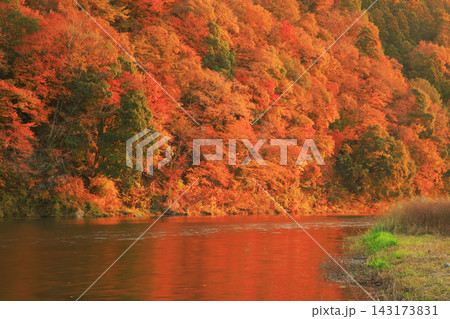 紅葉の落石 紅葉の落石 143173831
