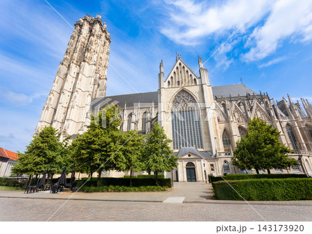 Saint Rumbold Cathedral at Grote Markt square in Mechelen, Belgium 143173920