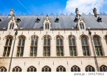 City Hall or Stadhuis courtyard in Mechelen city, Belgium City Hall or Stadhuis courtyard in Mechelen city, Belgium 143173922