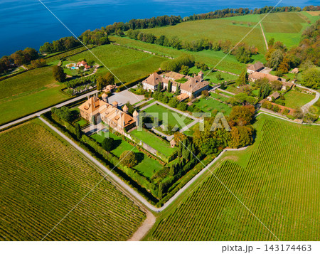 Aerial view Chateau Ripaille castle and vineyards in Thonon les Bains 143174463