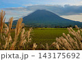 ススキと羊蹄山 143175692
