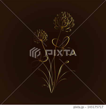 A golden clover flower drawn with a single line on a dark background. Hand-drawn. Not AI. Vector illustration. A golden clover flower drawn with a single line on a dark background. Hand-drawn. Not AI. Vector illustration. 143175717