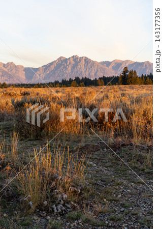 A stunning view of the Teton mountain range in Grand Teton National Park, WY. 143177356