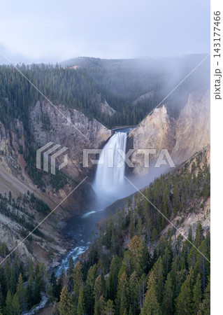 A stunning sunrise view of Lower Yellowstone River Falls. A stunning sunrise view of Lower Yellowstone River Falls. 143177466