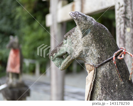 稲荷神社　狛狐のクローズアップ 143178250