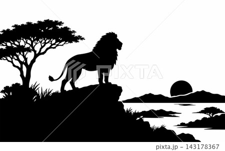 African Lion Silhouette on Cliff at Sunset Vector Illustration 143178367
