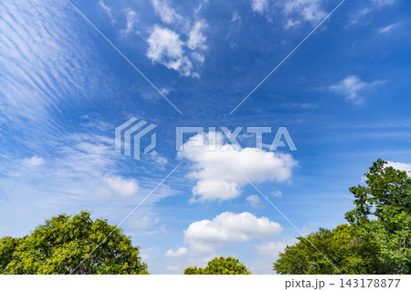 夏の青空と雲と樹木 夏の青空と雲と樹木 143178877