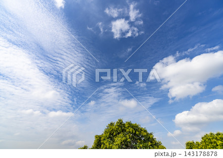 夏の青空と雲と樹木 夏の青空と雲と樹木 143178878