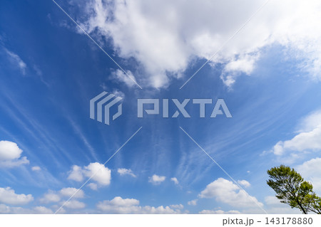 夏の青空と雲と樹木 夏の青空と雲と樹木 143178880