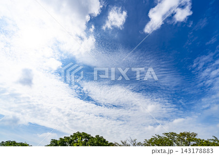 夏の青空と雲と樹木 夏の青空と雲と樹木 143178883