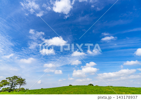 夏の青空と雲と草原 夏の青空と雲と草原 143178937