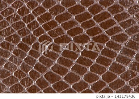 Brown snakeskin texture closeup Brown snakeskin texture closeup 143179436