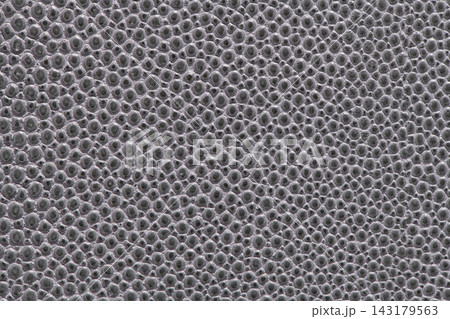 Close up of a dark grey stingray leather texture background Close up of a dark grey stingray leather texture background 143179563