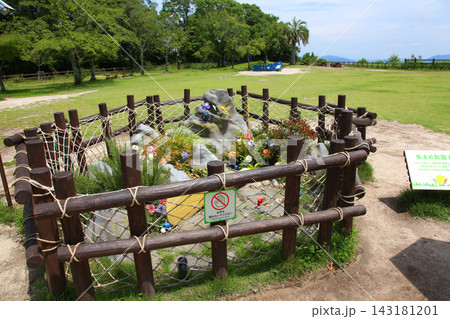 宮島サービスエリア 山陽道 山陽自動車道 山陽道下り 展望台 瀬戸内海 宮島 広島県 廿日市市 宮島サービスエリア 山陽道 山陽自動車道 山陽道下り 展望台 瀬戸内海 宮島 広島県 廿日市市 143181201