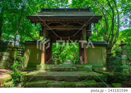 両子寺の山門と参道 両子寺の山門と参道 143181594