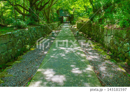 両子寺の山門と参道 両子寺の山門と参道 143181597