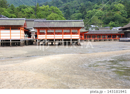 宮島 厳島神社 安芸 広島 JR西日本宮島フェリー 宮島の町並 厳島神社大鳥居 広島湾 瀬戸内 宮島 厳島神社 安芸 広島 JR西日本宮島フェリー 宮島の町並 厳島神社大鳥居 広島湾 瀬戸内 143181941