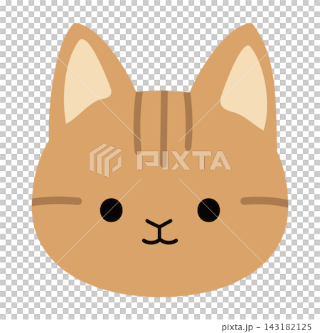 可愛的虎斑貓臉部插圖 143182125