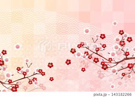 優雅な桃色の梅の花の和風背景 143182266