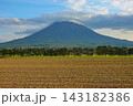 木々と羊蹄山 143182386