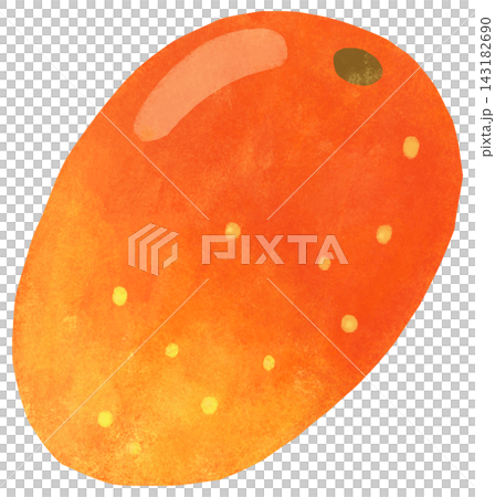 A simple and cute mango illustration A simple and cute mango illustration 143182690