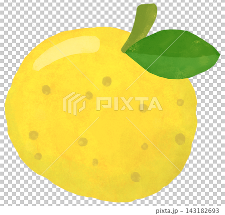 シンプルでかわいい柚子のイラスト 143182693