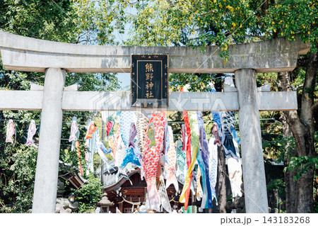 【愛知県東海市】熊野神社のこいのぼりまつりの風景 【愛知県東海市】熊野神社のこいのぼりまつりの風景 143183268