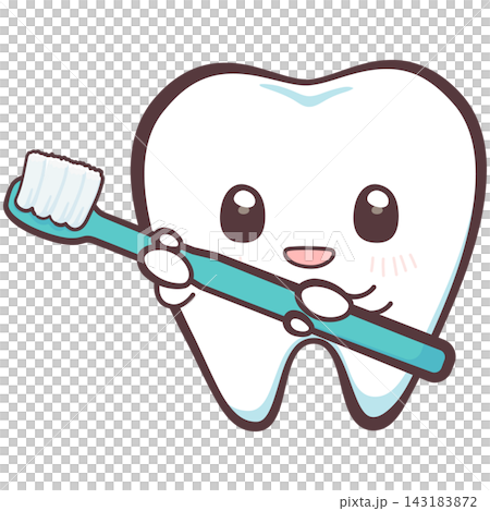 An illustration of a cute smiling tooth character holding a toothbrush with both hands. An illustration of a cute smiling tooth character holding a toothbrush with both hands. 143183872