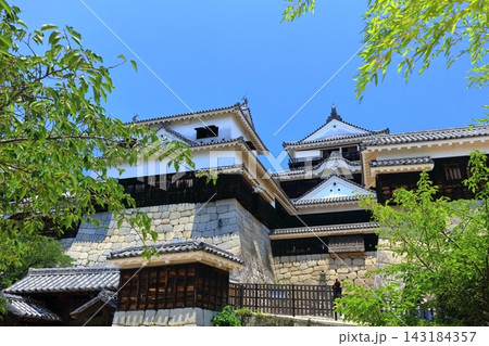 【愛媛県】松山城（現存12天守） 143184357